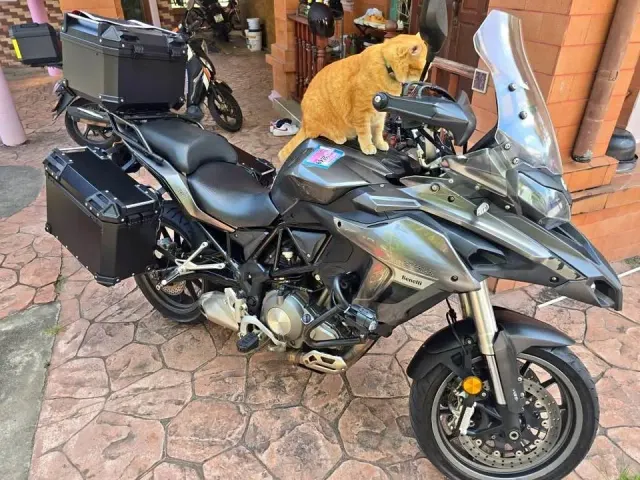 For rent Benelli TRK 502 2018