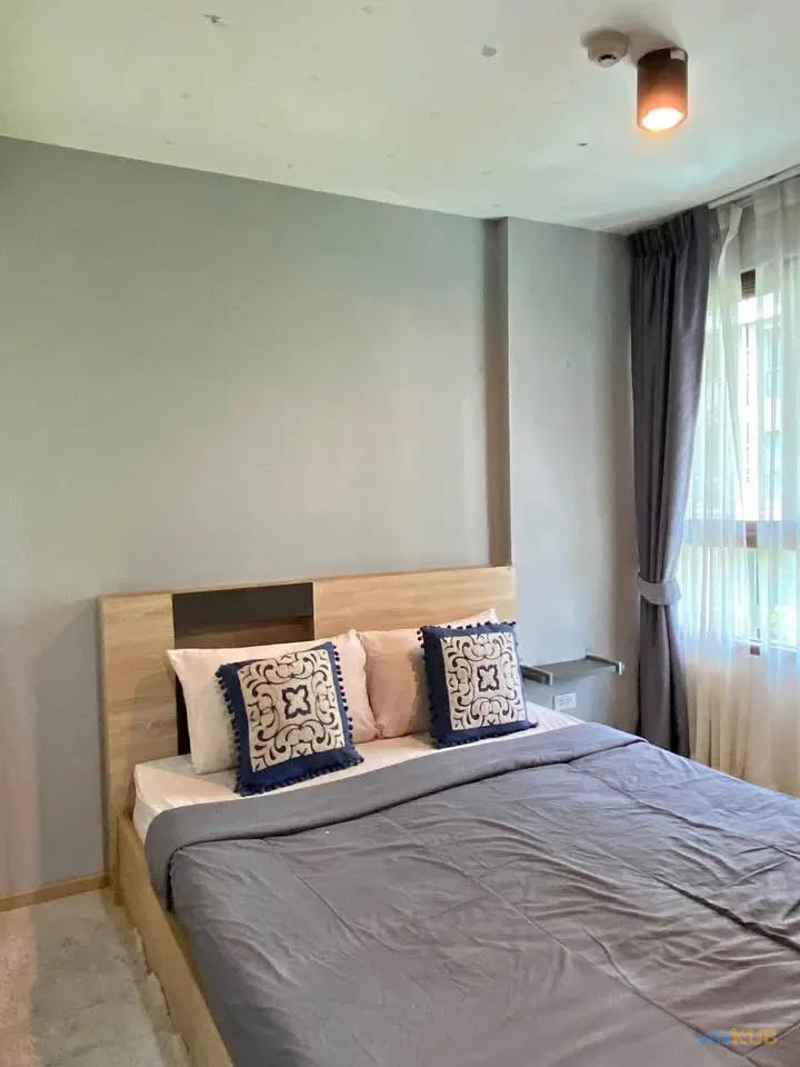 Apartment for rent 1 bedroom in Zcape3