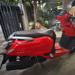 Rent Honda Genio 2026