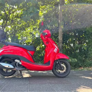 Rent Yamaha Grand Filano