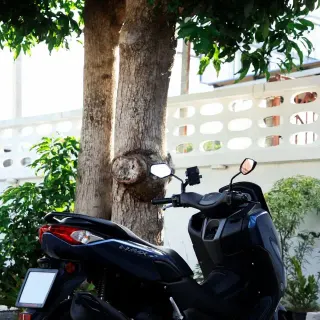 Rent Yamaha NMAX 155