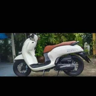 For rent Honda Scoopy 110