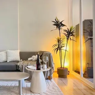 一卧室公寓出租
