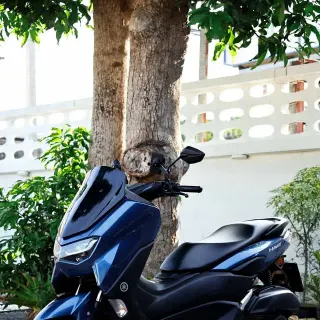 Rent Yamaha NMAX 155