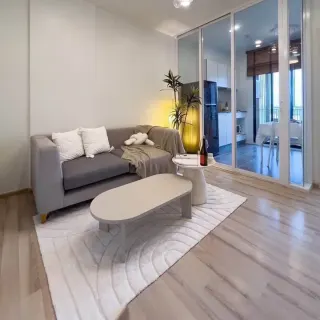 一卧室公寓出租