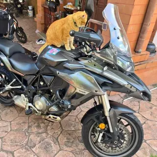For rent Benelli TRK 502 2018