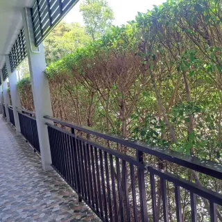1-bedroom apartment in Chalong