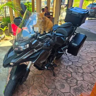 For rent Benelli TRK 502 2018
