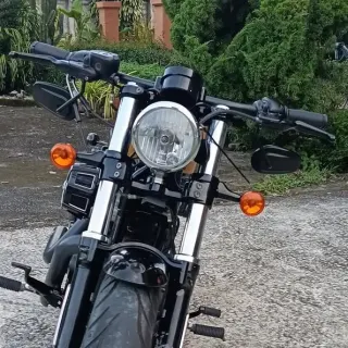 Harley-Davidson Sportster 2020, สีเหลือง